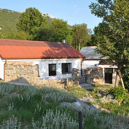 Mountain Cottage Mons Baebius Starcevica Podi Zewnętrze zdjęcie